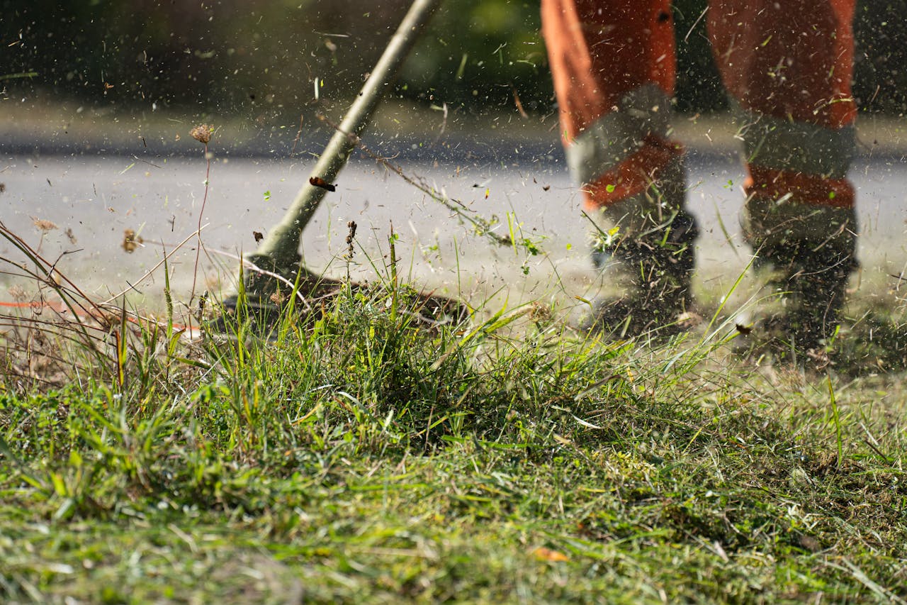 lawn care solutions